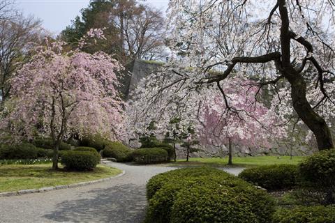 盛岡城跡公園